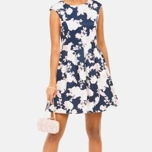 NWT Emerald Sundae Blue Floral Foil Fit & Flare Dress, Small